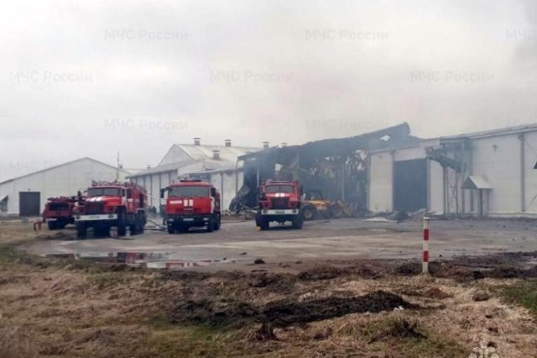 «Всех эвакуировали, а про него забыли». В пожаре на птицефабрике «Мираторга» погиб слесарь
