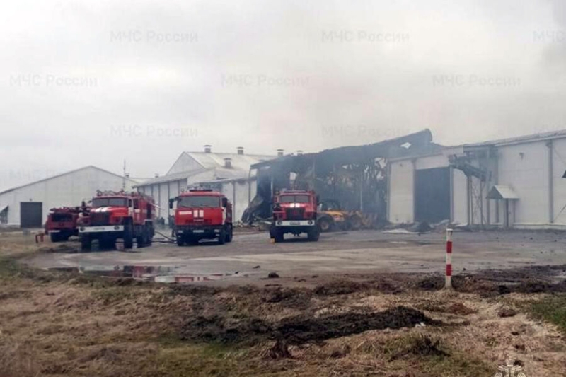 «Всех эвакуировали, а про него забыли». В пожаре на птицефабрике «Мираторга» погиб слесарь